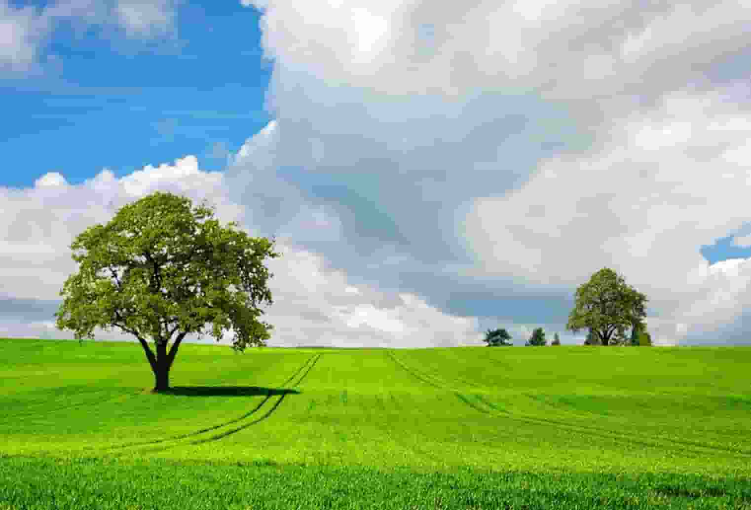 袖虎列举加盟坑钱的那些破事