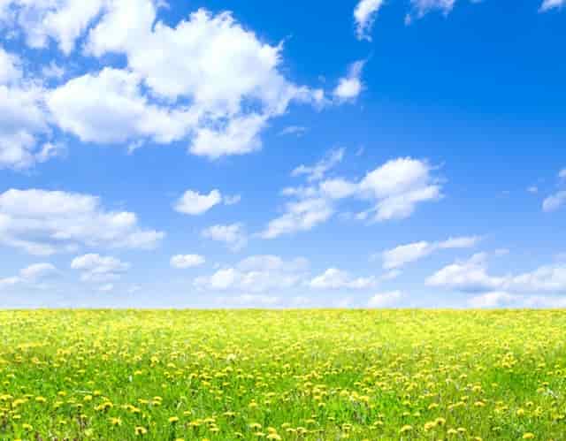 传销人都有什么特征呢？这些特征就是传销一定要知道