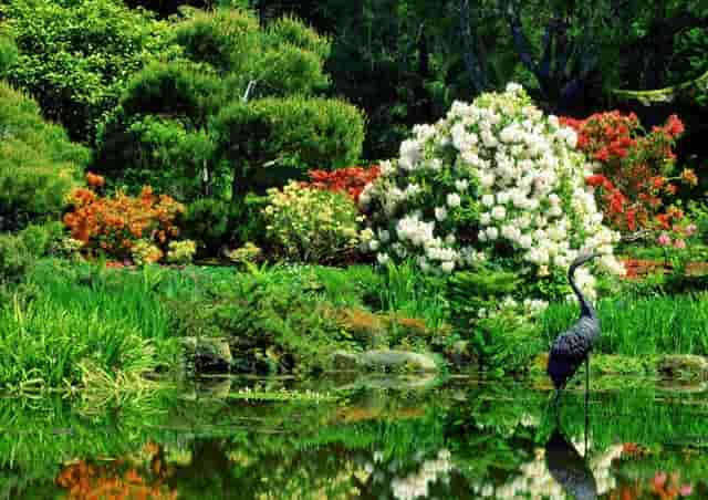 第一次看到这样的陀螺仪 设备够精致 不是用钱能买到的！