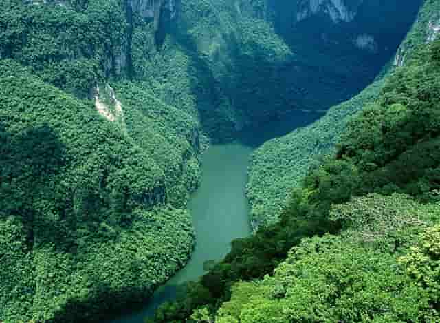 宠物经济新变化，袖虎宠物会不会成为下一个赢家？