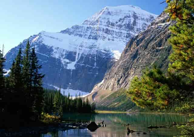 看穿皇帝的新装:用不同的视角看OKR