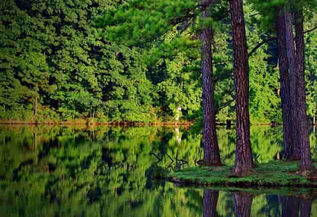 探索超越摩尔定律的新路径 “攀登技术”将GPU通用计算芯片的效率提高3倍以上