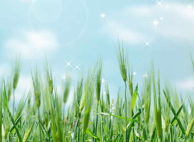 家居健身欢迎智能变化 FITURE用AI健身镜创新用户体验