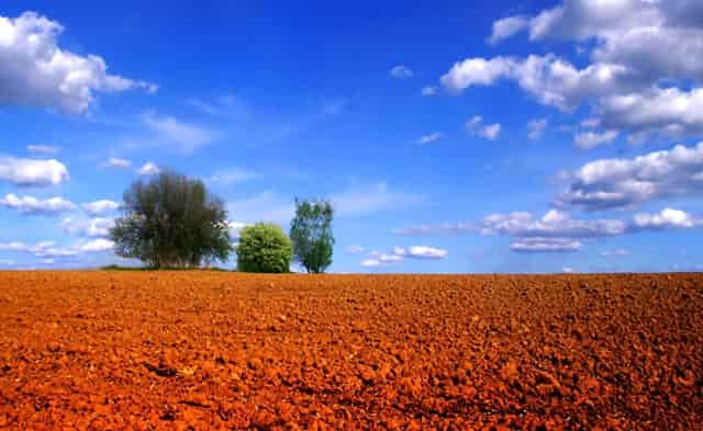 靶向药新星·拉罗替尼不限癌种（Larotrectinib，LOXO-101）