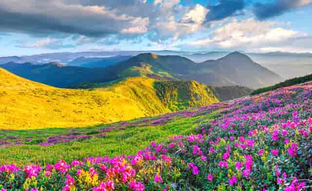 长春轨道交通名单(长春轨道交通一卡通)