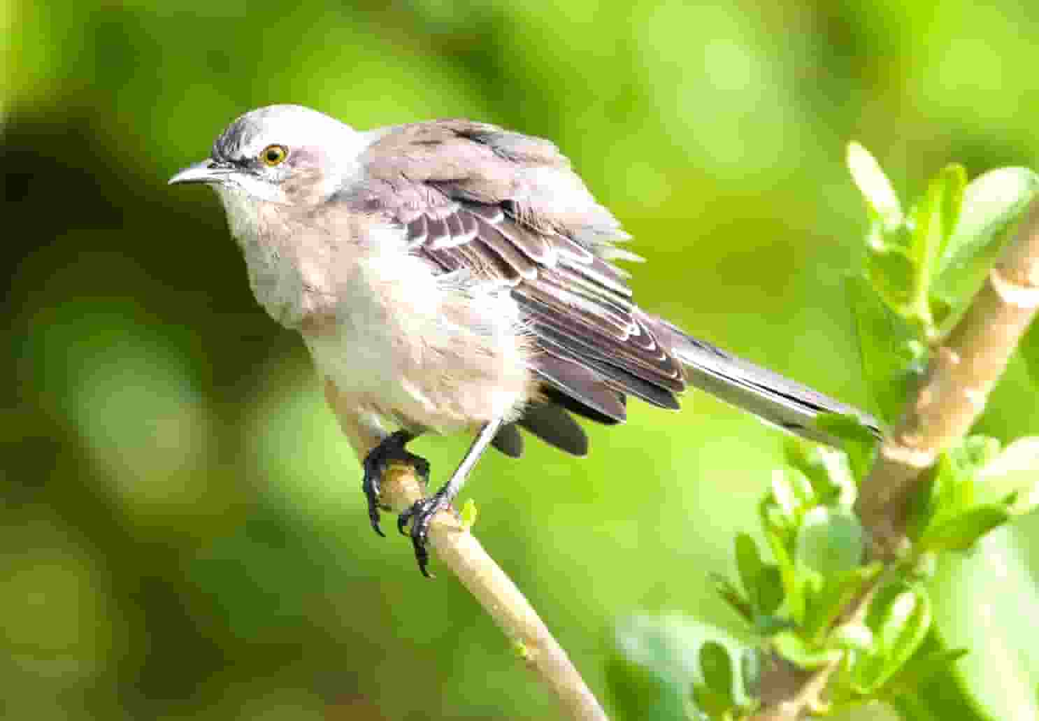 B方产品管理第一步:产品策划