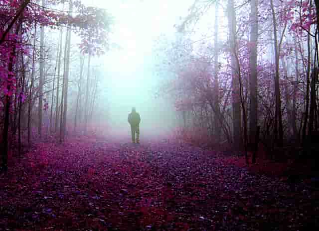 下一个Facebook！Snap的市值预计五年后将飙升至2000亿美元