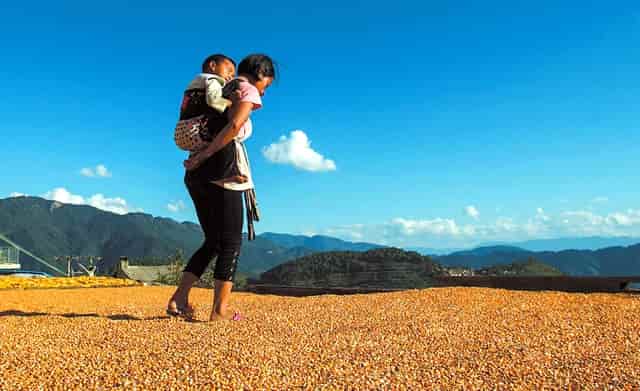 是中国创新药不行吗？