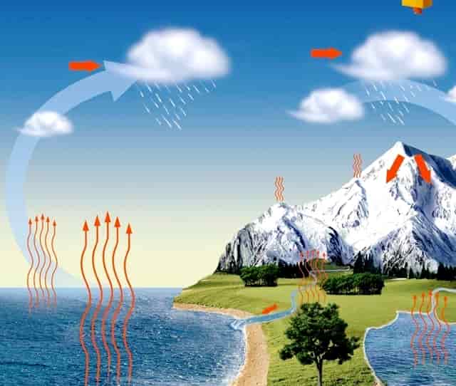 2020年 WhatsApp通话量增长超过50%