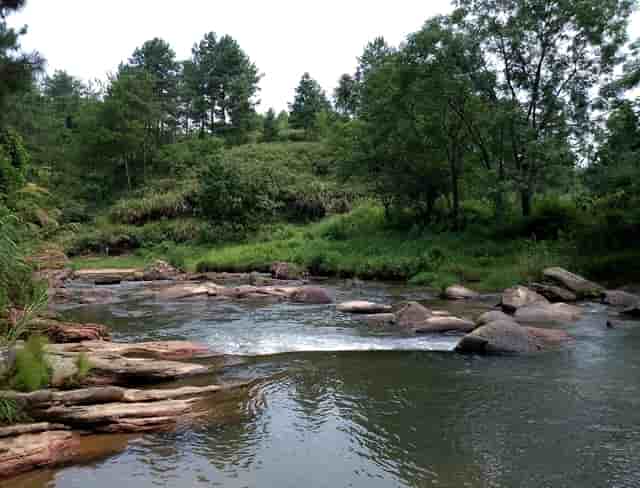突出推进基层治理(在社会治理理念上要突出强调基层)