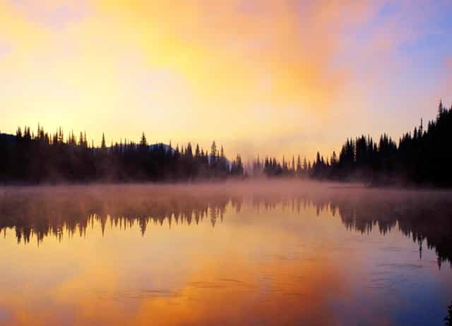 狗狗眼睛红红，袖虎知道得了什么病！