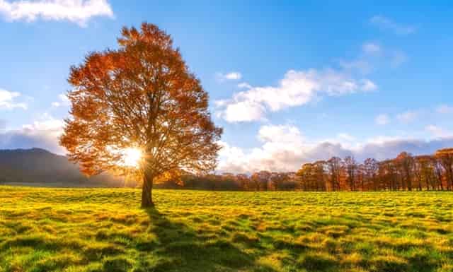 袖虎知识库：这个东西看似没用，实则少不了