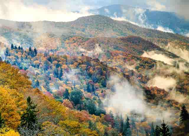 贵港传销的模式是什么