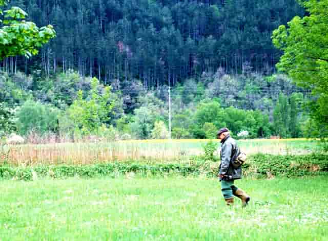 如何正确打开2020版重疾表 这个报告已经说的很清楚了