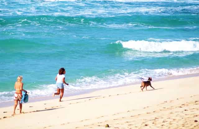 西比曼生物TIL疗法C-TIL051获FDA批准临床，针对非小细胞肺癌