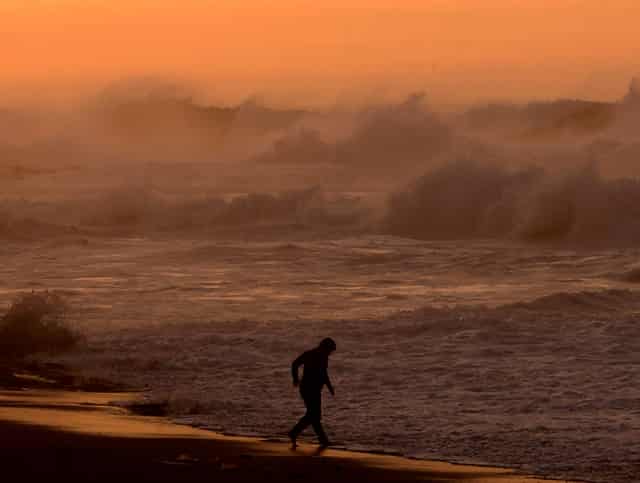 袖虎病猫攻略：猫爪子感染真菌怎么办