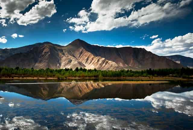 袖虎解密猫咪为什么爱在高处?