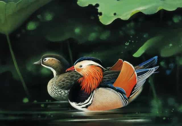 碧桂园逆势成长背后:均衡布局效果显著 财务管控能力突出