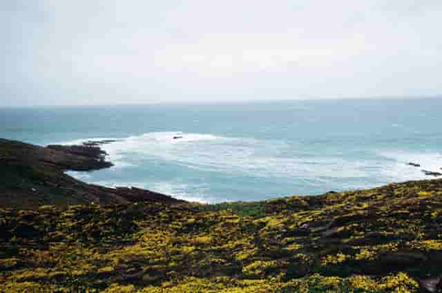 开宠物店需要多少钱？袖虎宠物低成本高收入！