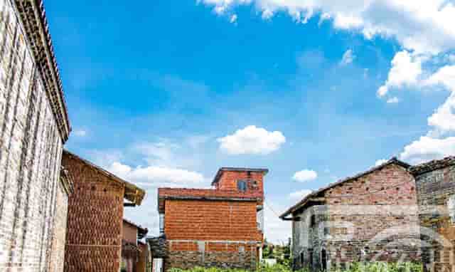 卫健委新闻消息(卫健委发布今天消息)