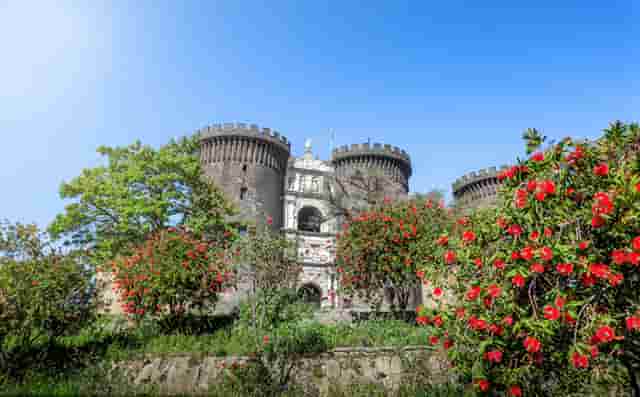 realme真我gt大师版有行李箱吗