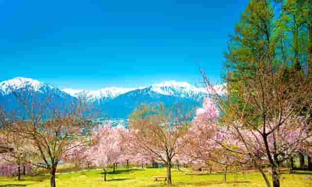 支部学习内容专题学习