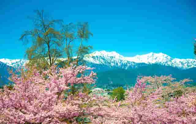 时尚杂志拍照技巧(时尚杂志拍照姿势)