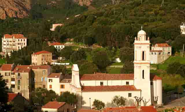 海贼王图片情报(海贼王漫画情报)