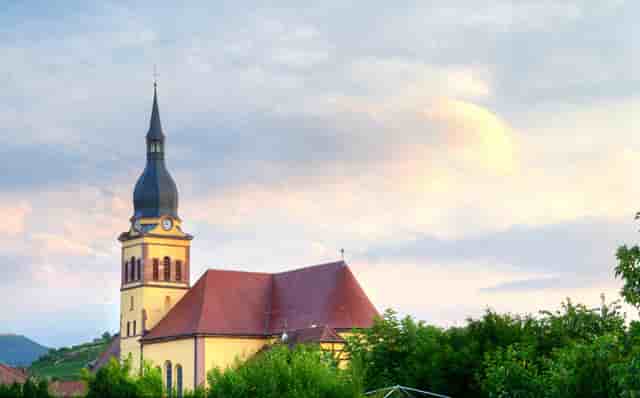 袖虎教你避雷：猫咪的虚假求救信号和真实求救信号