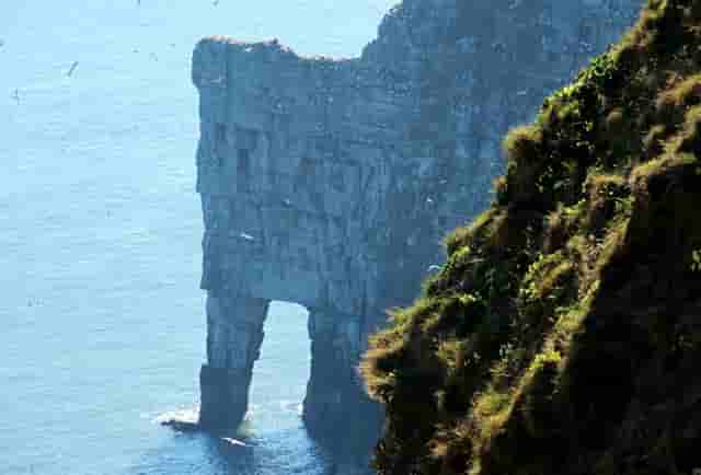 西比曼正式宣布启动脂肪间充质干细胞产品AlloJoin®的III期临床试验