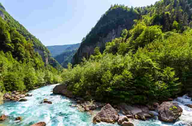 蔡嘉珍榮獲註冊理財規劃師資格