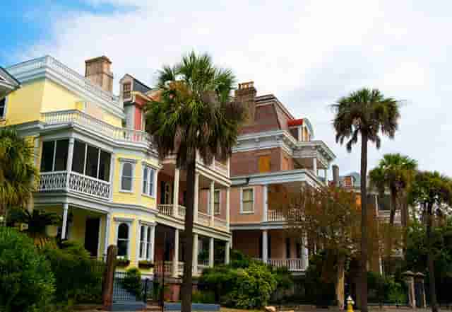 袖虎病猫攻略：猫咪刷牙攻略