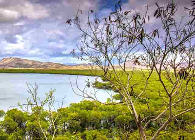 2024 JPM大会|多赛道创新药企唱响中国之声，引领发展趋势获业内认可