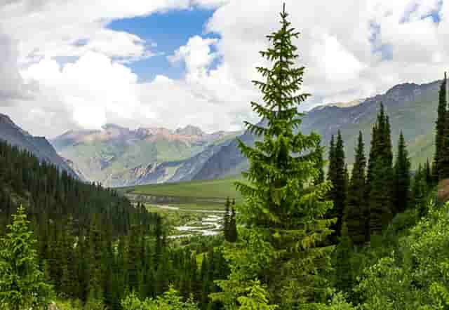 时尚孕妇裤怎么穿搭配小技巧分享