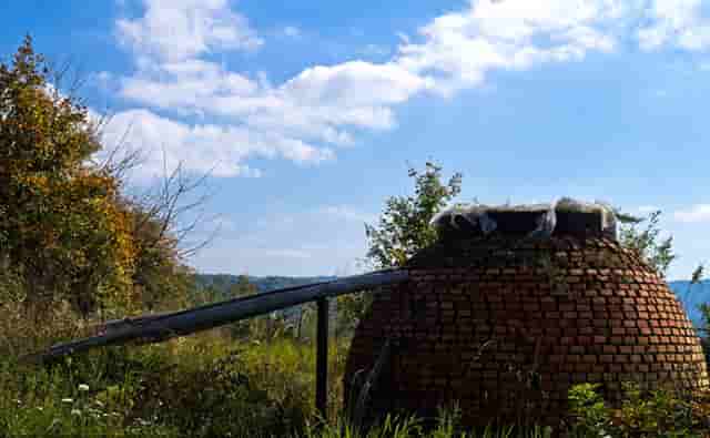 男生过年时尚搭配技巧(过年鲜花搭配技巧)
