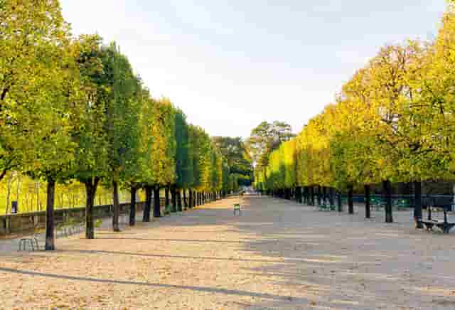 袖虎病猫攻略：猫细小的症状有哪些？