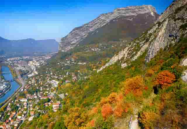 袖虎病狗攻略：狗狗身上有跳蚤怎么办