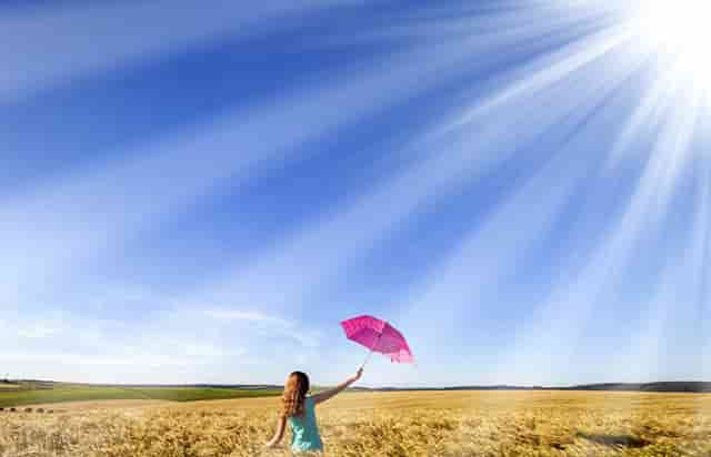 分析宠物销售市场，看袖虎如何养猫生财！