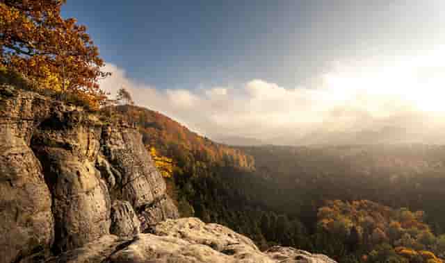 新时代文化志愿服务(新时代志愿服务活动)