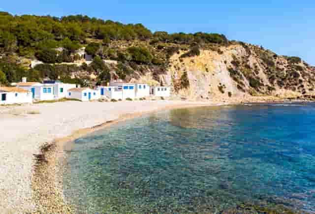 袖虎病猫攻略：猫咪需要挤肛门腺吗？