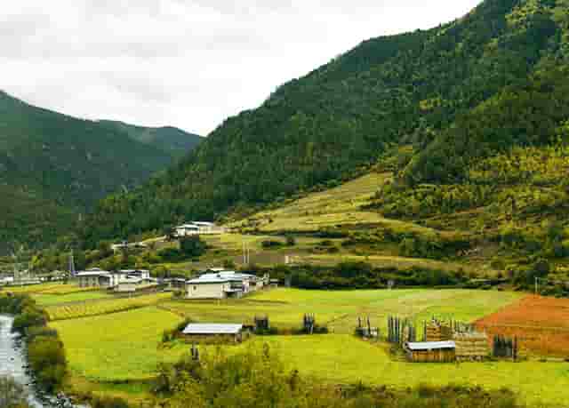 袖虎宠物解读宠物行业是否存在加盟骗局？